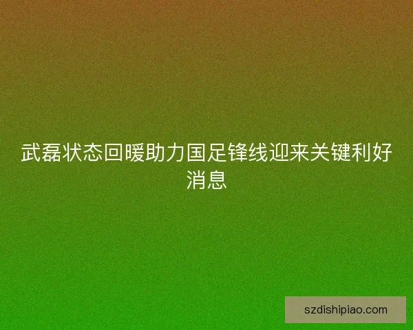 武磊状态回暖助力国足锋线迎来关键利好消息