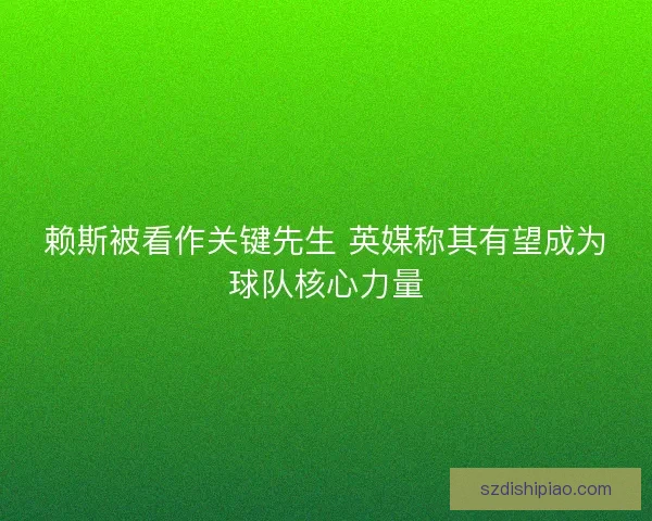 赖斯被看作关键先生 英媒称其有望成为球队核心力量